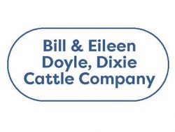 Bill and Eileen Doyle, Dixie Cattle