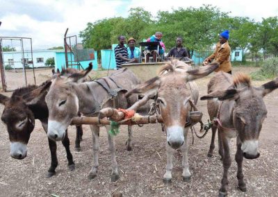 Wheelchairs For Kids Gallery Zimbabwe